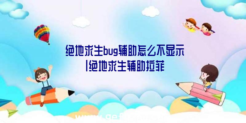 「绝地求生bug辅助怎么不显示」|绝地求生辅助拉菲